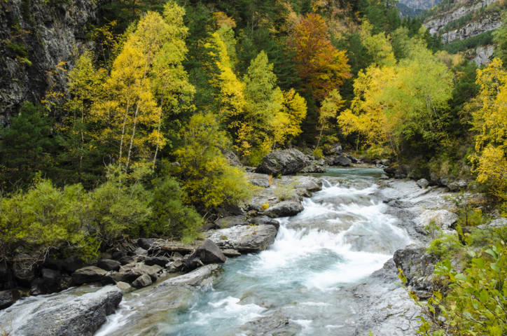 Huesca - valle de Bujaruelo 24 - rio Ara.jpg